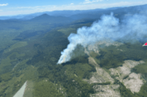 An aerial view of a wildfire burning in a forest.