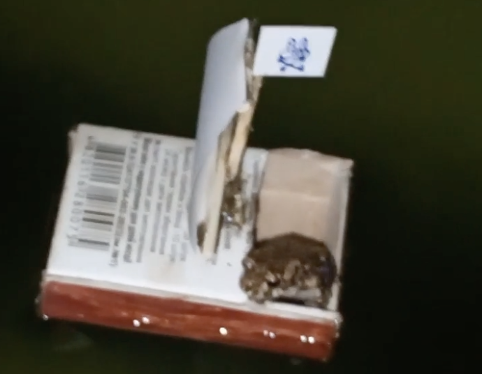 TRENDING NOW: Ahoy, toad | iNFOnews.ca TRENDING NOW: Ahoy, toad | iNFOnews.ca