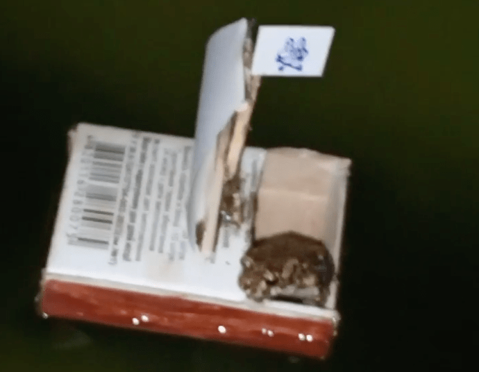 TRENDING NOW: Ahoy, toad | iNFOnews.ca