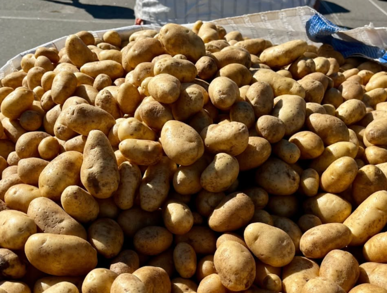 Unsightly yet tasty produce for free on Ugly Potato Day in Kelowna | iNFOnews.ca