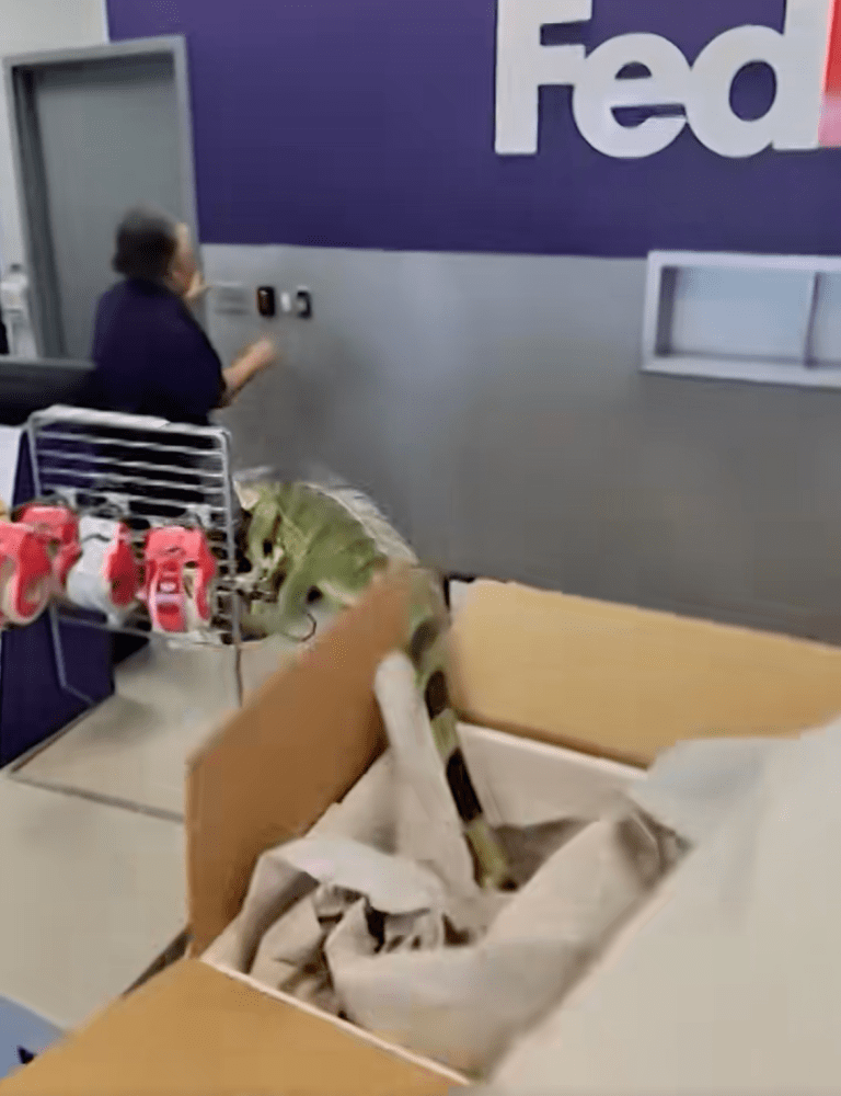 TRENDING NOW: Fedex employees weren't expecting this | iNFOnews.ca