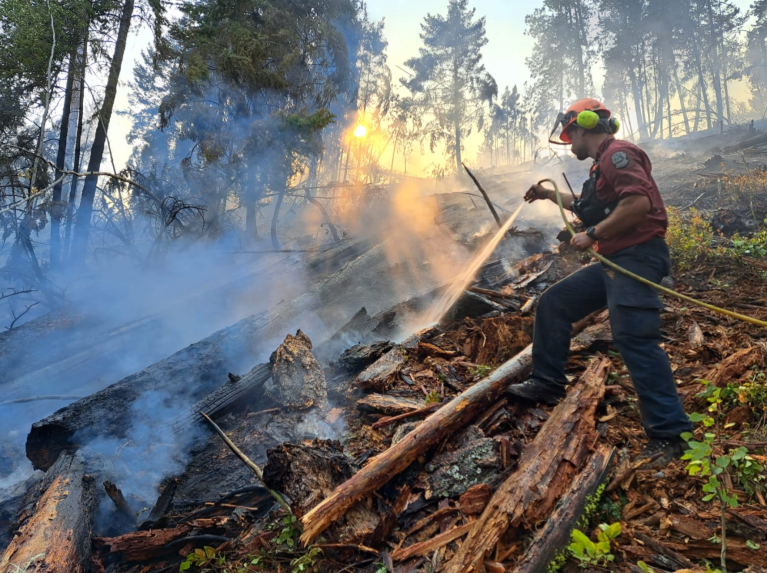 What's happening with wildfires in Okanagan, Kamloops | iNFOnews.ca