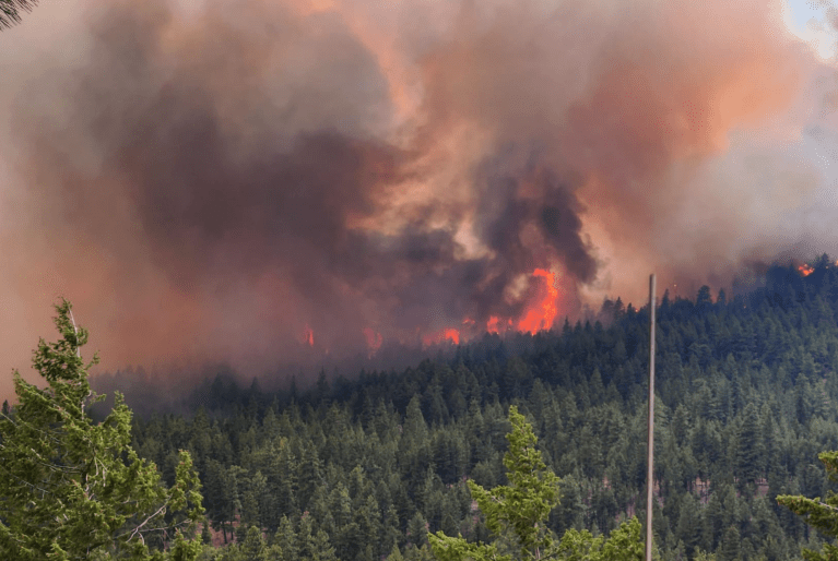 More people evacuated by Bald Range wildfire returning home | iNFOnews.ca