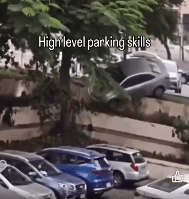 TRENDING NOW: How not to park a car | iNFOnews.ca