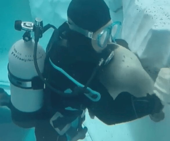 TRENDING NOW: Needy seal wants attention | iNFOnews.ca