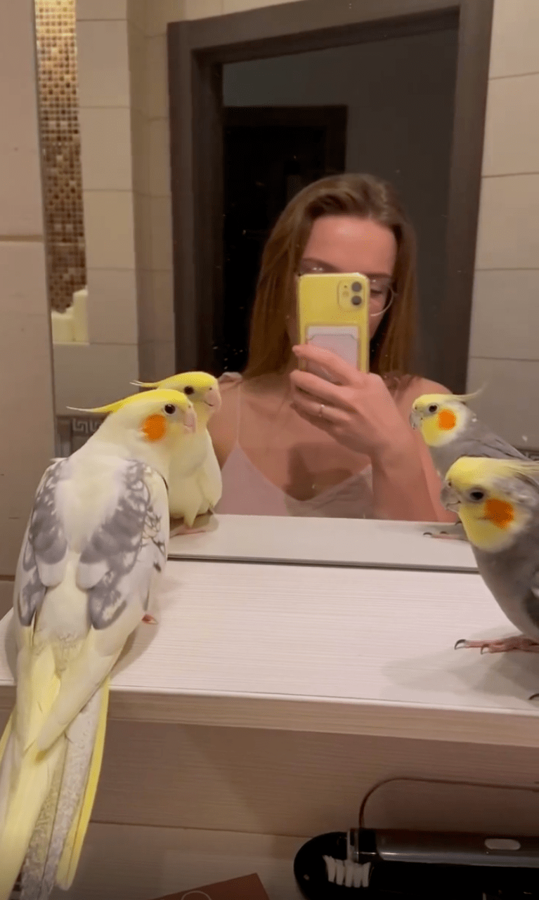 TRENDING NOW: These cockatiels are happy and they know it | iNFOnews.ca