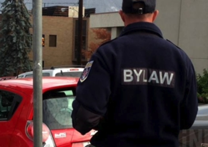 a bylaw officer