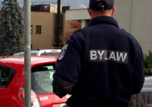 a bylaw officer