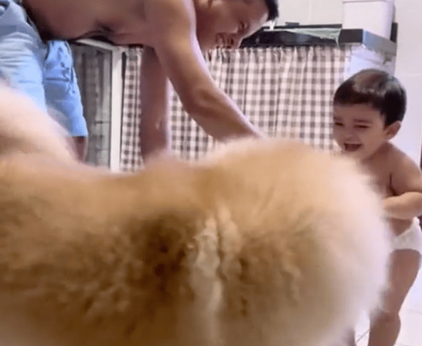 TRENDING NOW: Dog and a baby having a blast | iNFOnews.ca