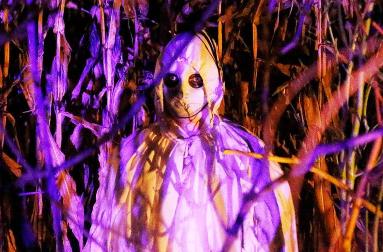 Professional scarer found her inner creature at Field of Screams | iNFOnews.ca