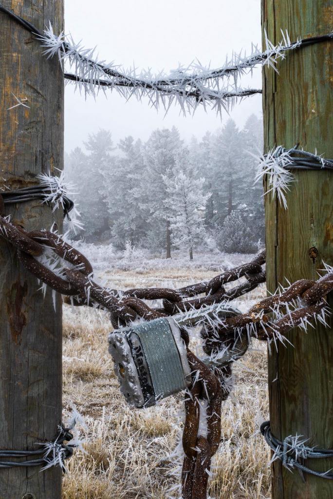 iN PHOTOS: Conditions right for fanciful frost formations in Kamloops, Okanagan | iNFOnews.ca