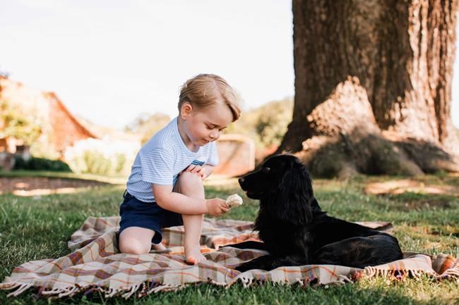 Prince William says George got too many birthday gifts | iNFOnews.ca
