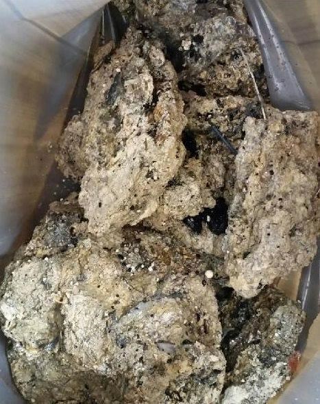 Museum bids to acquire huge 'fatberg' clogging London sewer | iNFOnews.ca