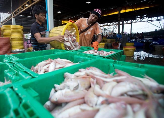 Thailand reports 548 new virus cases, highest daily spike | iNFOnews.ca Thailand reports 548 new virus cases, highest daily spike | iNFOnews.ca