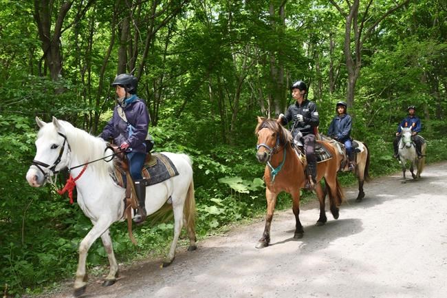 Japanese boy disappears after parents leave him in forest | iNFOnews.ca