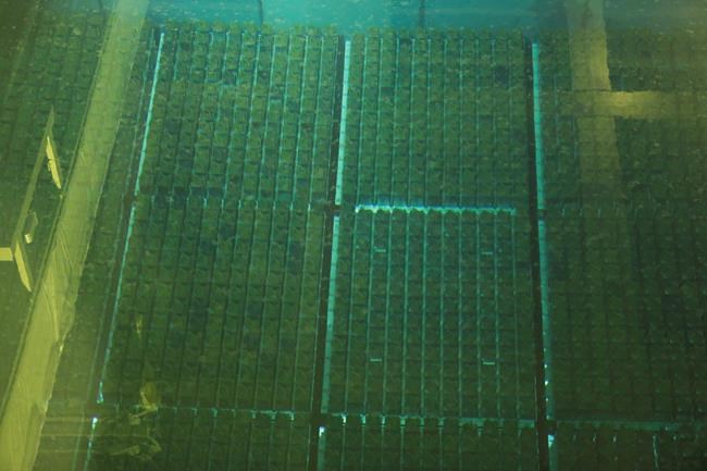Japan OKs ambitious nuke energy goals, plutonium reuse plan | iNFOnews.ca Japan OKs ambitious nuke energy goals, plutonium reuse plan | iNFOnews.ca