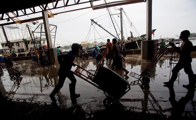 Fishing industry in Thailand fixing some abuses, agency says | iNFOnews.ca