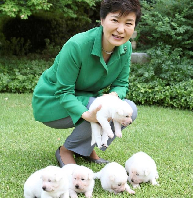 South Korea finds a home for 2 puppies Park left behind | iNFOnews.ca
