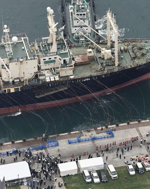 Japanese whalers bring home 1st commercial catch in 31 years | iNFOnews.ca
