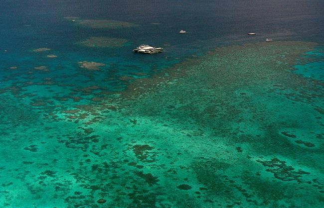 Bleaching on Great Barrier Reef more widespread than ever | iNFOnews.ca
