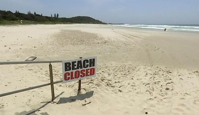 Surfer fends off shark that bit his leg at Australian beach | iNFOnews.ca