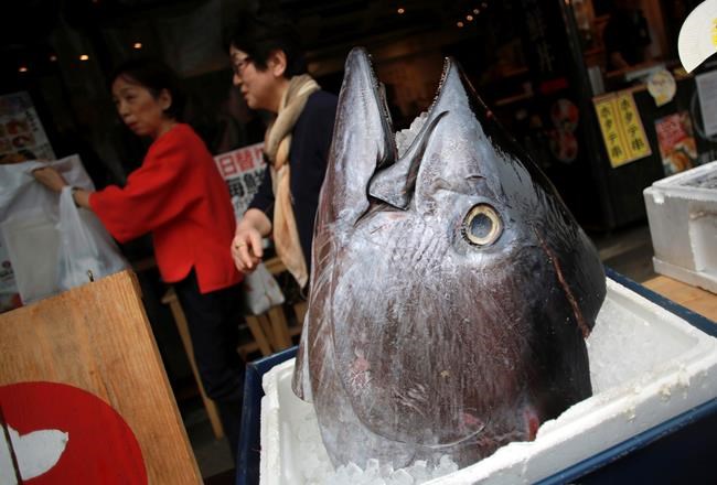 Feds and Walmart allege canned tuna prices fixed | iNFOnews.ca CP2040969630