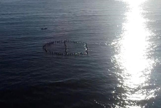 Byron Bay locals protest planned Netflix reality series | iNFOnews.ca