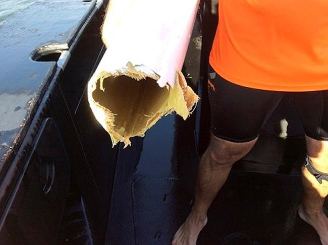 Man rescued after shark attacks kayak off Australian coast | iNFOnews.ca Man rescued after shark attacks kayak off Australian coast | iNFOnews.ca