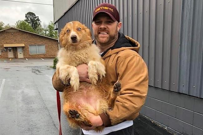 Tennessee family finds dog 54 days after deadly tornadoes | iNFOnews.ca Tennessee family finds dog 54 days after deadly tornadoes | iNFOnews.ca