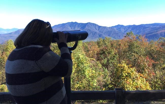 Viewfinders unveil Tennessee fall colours for the colorblind | iNFOnews.ca