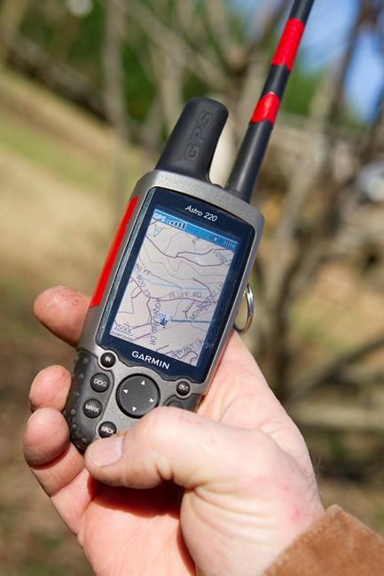 Suit targets California hunting rules that allow GPS on dogs | iNFOnews.ca