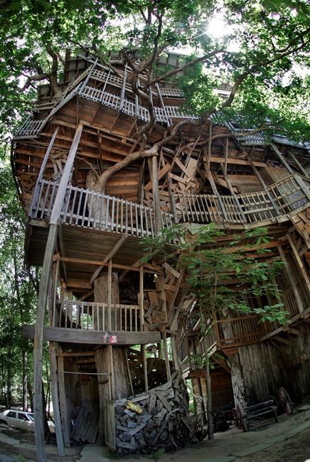1 of world's tallest treehouses destroyed by fire in minutes | iNFOnews.ca