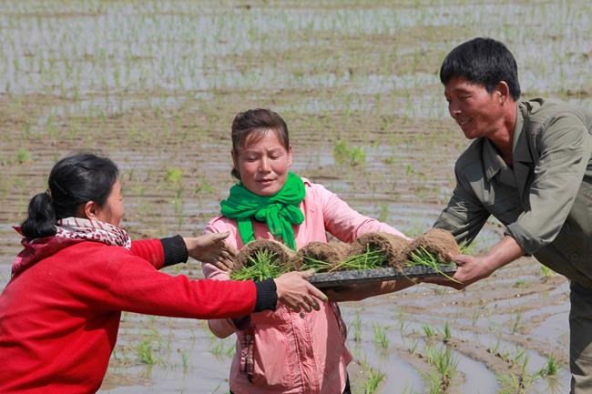 South Korea vows to send aid to North quickly, may send food | iNFOnews.ca