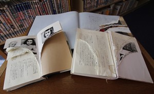 Over 250 Anne Frank books, including her diary, found vandalized in Tokyo public libraries | iNFOnews.ca CP27310790