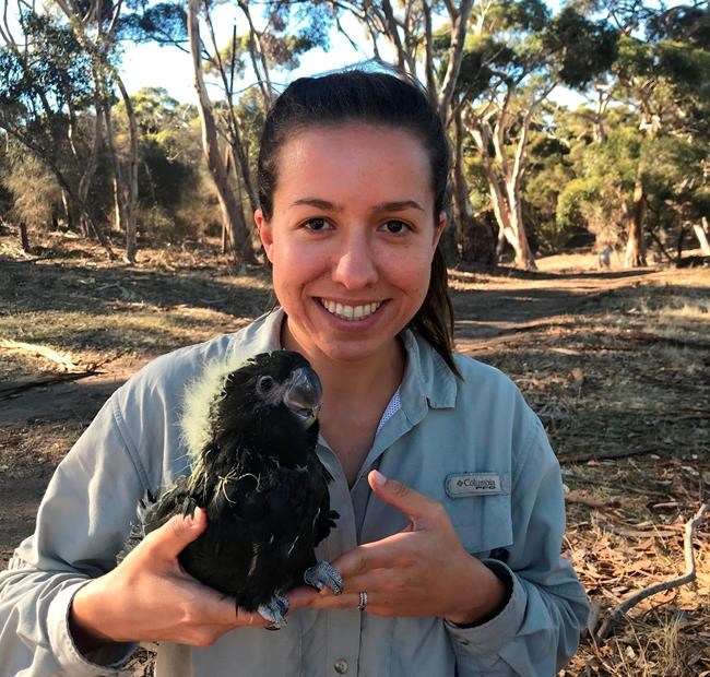 Wildfires threaten unique critters on Australian 'Galapagos' | iNFOnews.ca Wildfires threaten unique critters on Australian 'Galapagos' | iNFOnews.ca