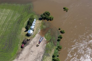 CP29046451
