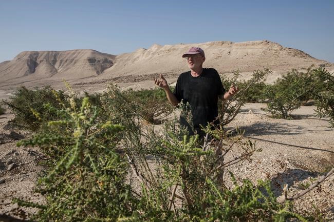 Israeli frankincense farmer cashes in on rare honey | iNFOnews.ca