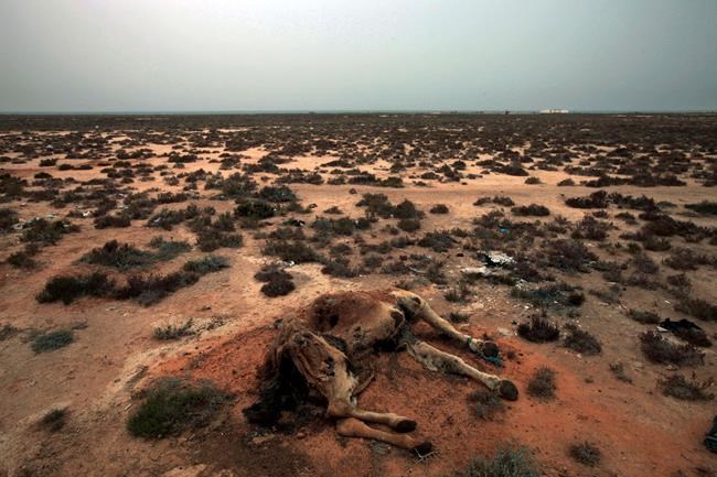 'We are thirsty' say Tunisians as drought creates tensions | iNFOnews.ca 'We are thirsty' say Tunisians as drought creates tensions | iNFOnews.ca