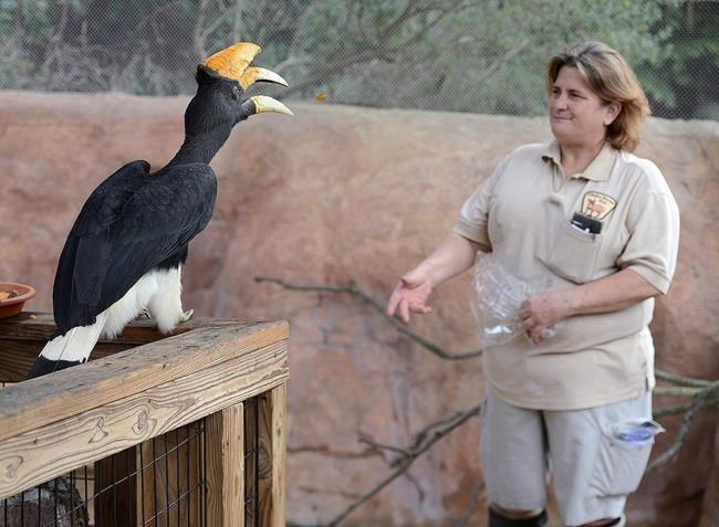 Gladys Porter Zoo in Texas announces rare birds displayed | iNFOnews.ca