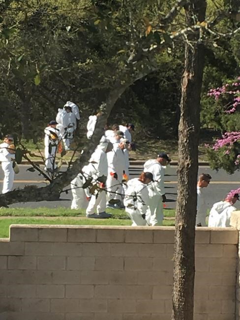 Fear mounts in Austin as serial bomber uses tripwire | iNFOnews.ca Fear mounts in Austin as serial bomber uses tripwire | iNFOnews.ca