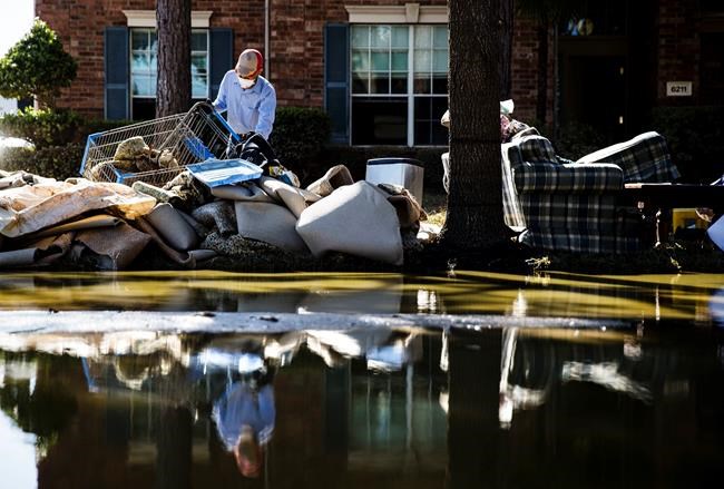 Health officials watching mosquitoes in Texas after Harvey | iNFOnews.ca Health officials watching mosquitoes in Texas after Harvey | iNFOnews.ca