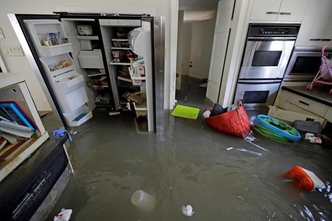 Harvey victims leave shelters but face dire housing needs | iNFOnews.ca