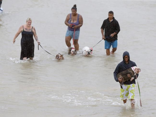Experts not second-guessing decision not to evacuate Houston | iNFOnews.ca