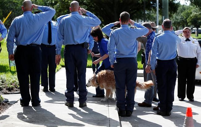 Last known living 9-11 search dog dies in Texas at age 16 | iNFOnews.ca