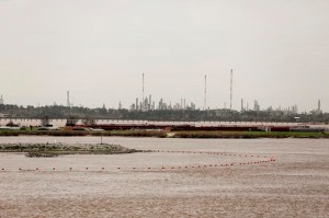 CP1793566156