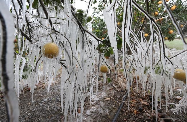 EXPLAINER: Topsy-turvy weather comes from polar vortex | iNFOnews.ca