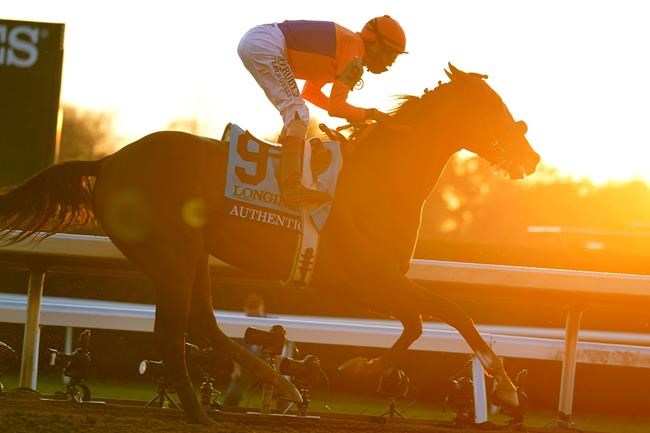 Authentic goes wire-to-wire to win Breeders' Cup Classic | iNFOnews.ca Authentic goes wire-to-wire to win Breeders' Cup Classic | iNFOnews.ca