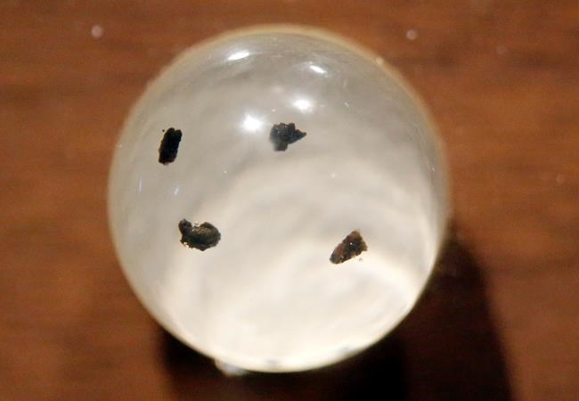 Moon rock hunter closes in on tracking down missing stones | iNFOnews.ca CP1907017028