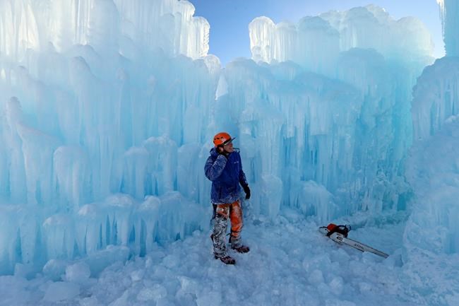 Snow on saguaros: Desert cities in US Southwest see freeze | iNFOnews.ca Snow on saguaros: Desert cities in US Southwest see freeze | iNFOnews.ca