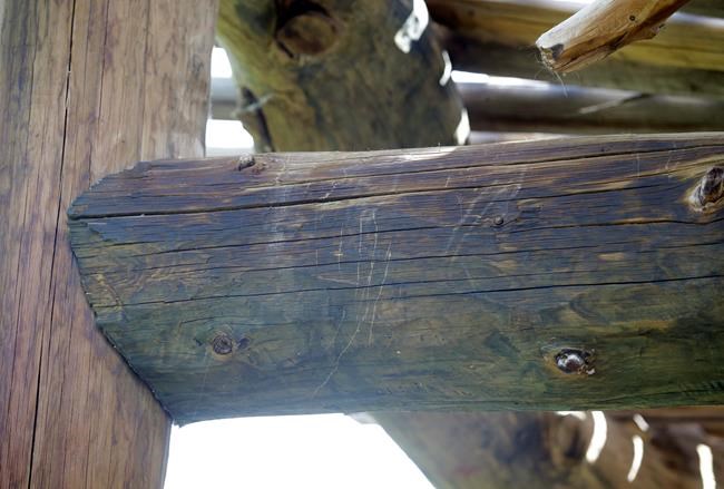 Leopard escapes at Utah zoo; visitors take shelter | iNFOnews.ca CP1586696292